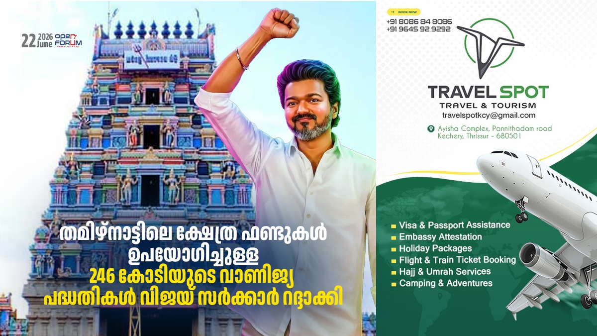 tn web